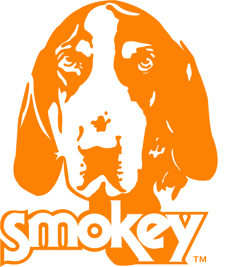 Tennessee Volunteers 1980-2005 Secondary Logo diy iron on heat transfer